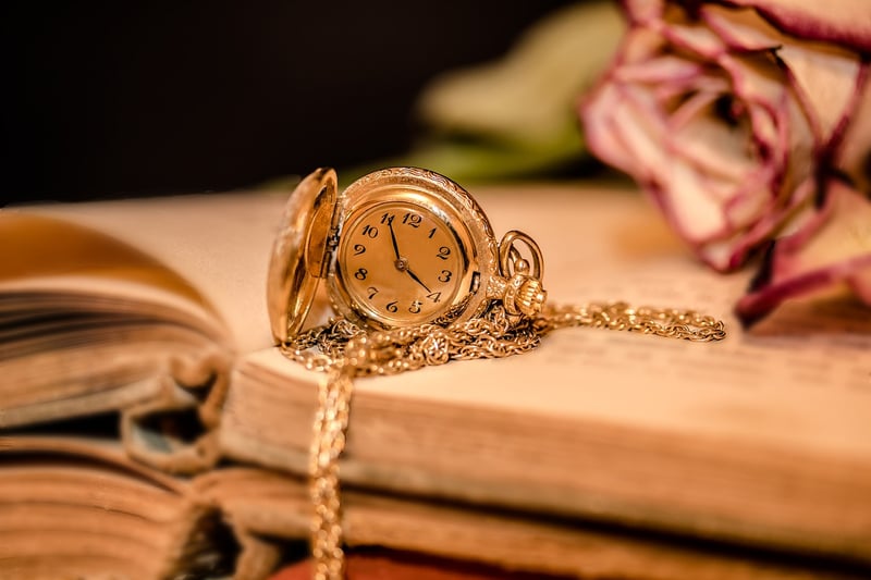 Time Travel Chronicles